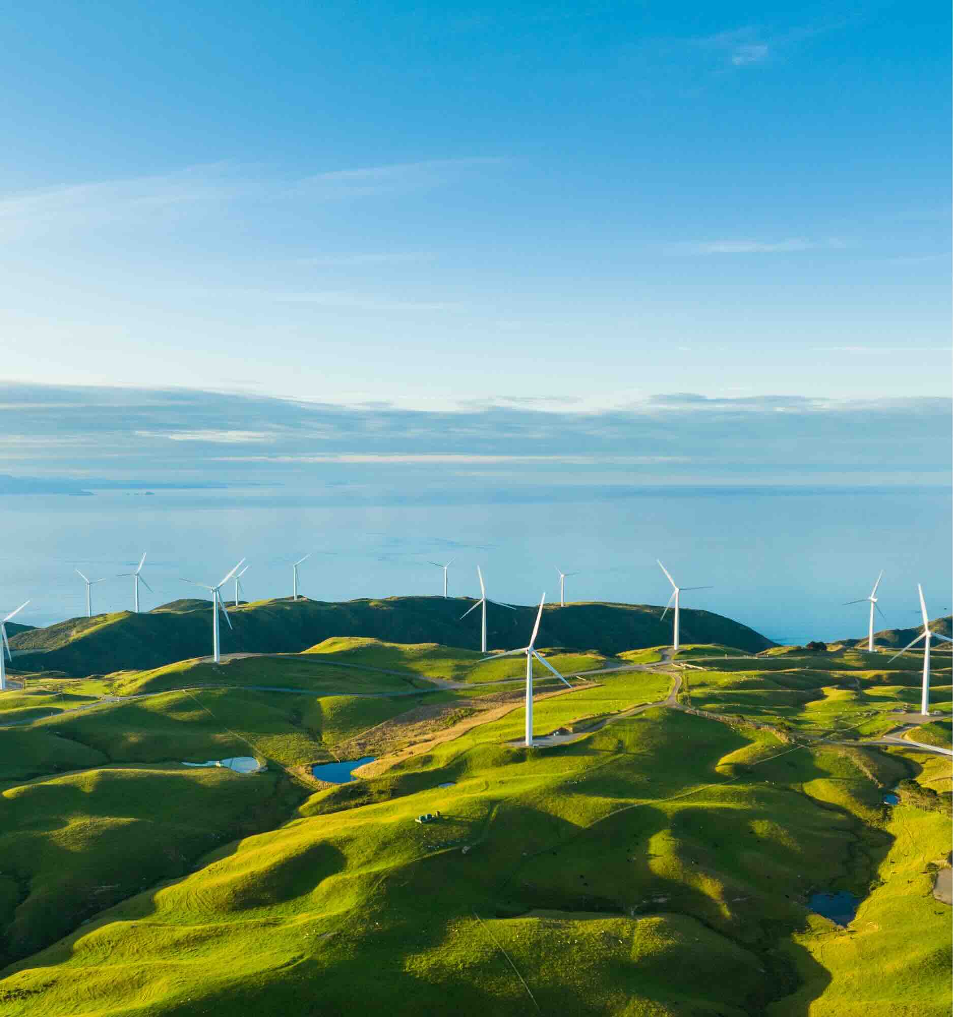 UOB Vietnam at Green Economy Forum: Enabling businesses to capture green growth opportunities