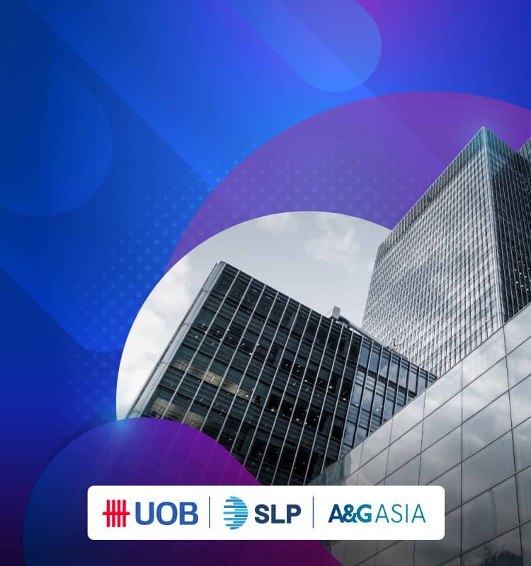 Vietnam Market Unveiled: Pathways to Growth and Compliance