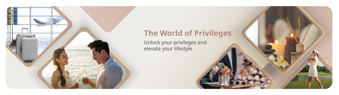 The World of Privileges